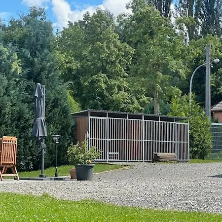 Ferienwohnung Zum Tiefenthal *